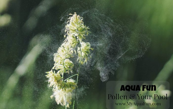 Pollen-Swimming-Pools-Aqua-Fun-Pool_Builder