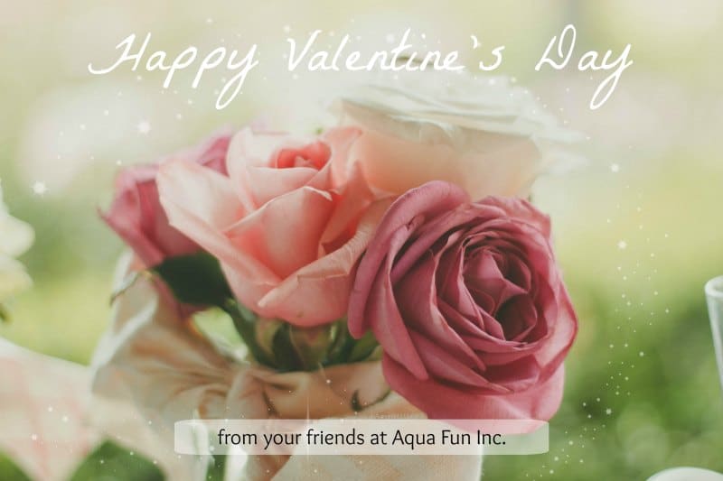 Aqua Fun Inc. Valentines Day