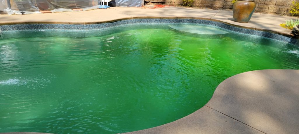 How To Deal With Pollen In Your Swimming Pool - Aqua Fun Inground