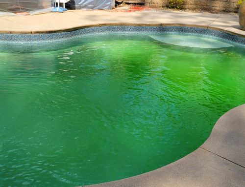 How To Deal With Pollen In Your Swimming Pool