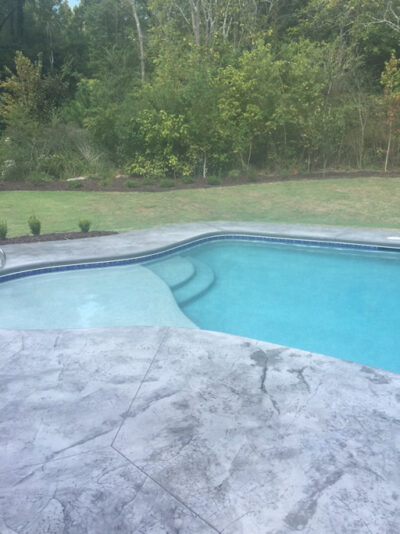 Backyard pool with trees in the background