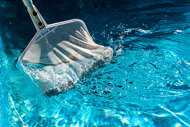Weekly vs. Monthly Maintenance: Finding the Right Routine for Your Pool