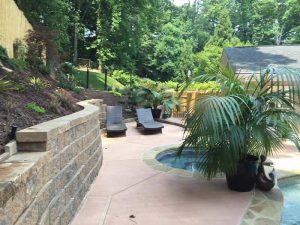 Backyard with pool, lounge chairs, and palm plants.